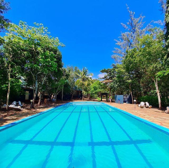 Kijani Cottages Diani Diani Beach Eksteriør billede