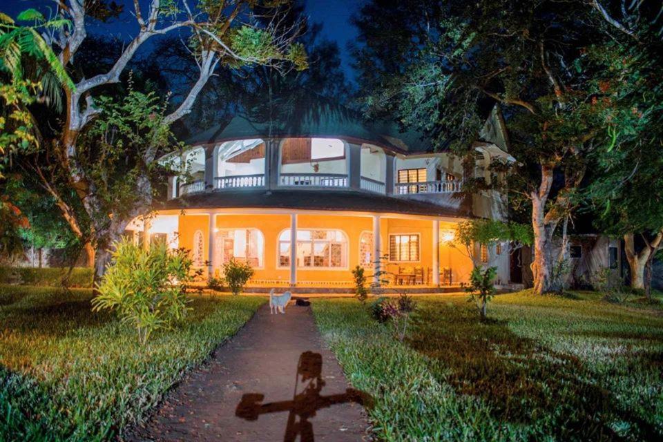 Kijani Cottages Diani Diani Beach Eksteriør billede